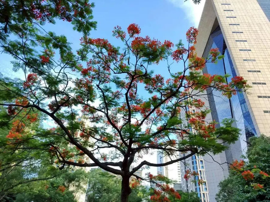 圖片來源:臺北市政府