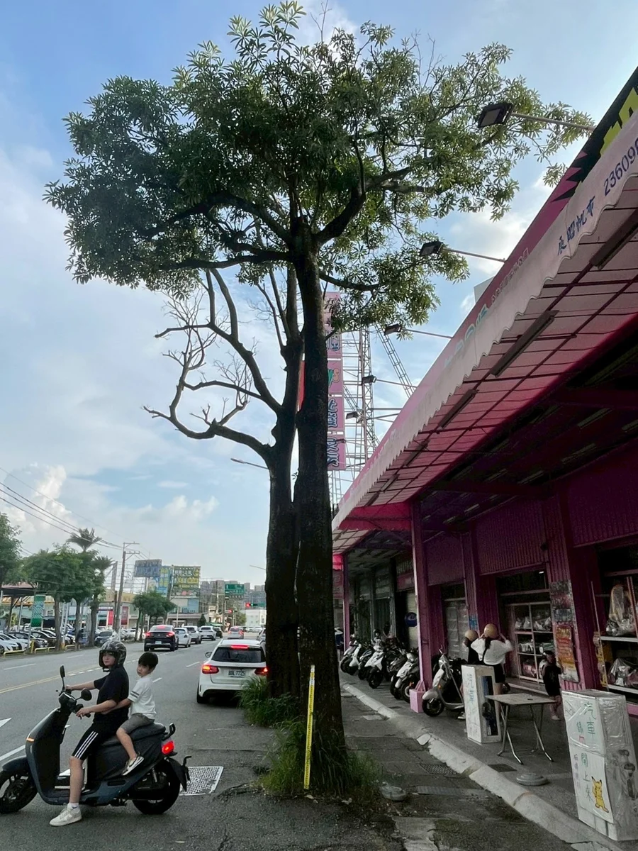 圖片來源:臺中市政府