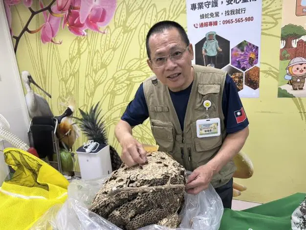 圖片來源:臺南市政府