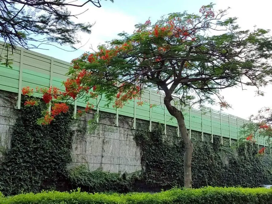 圖片來源:臺北市政府