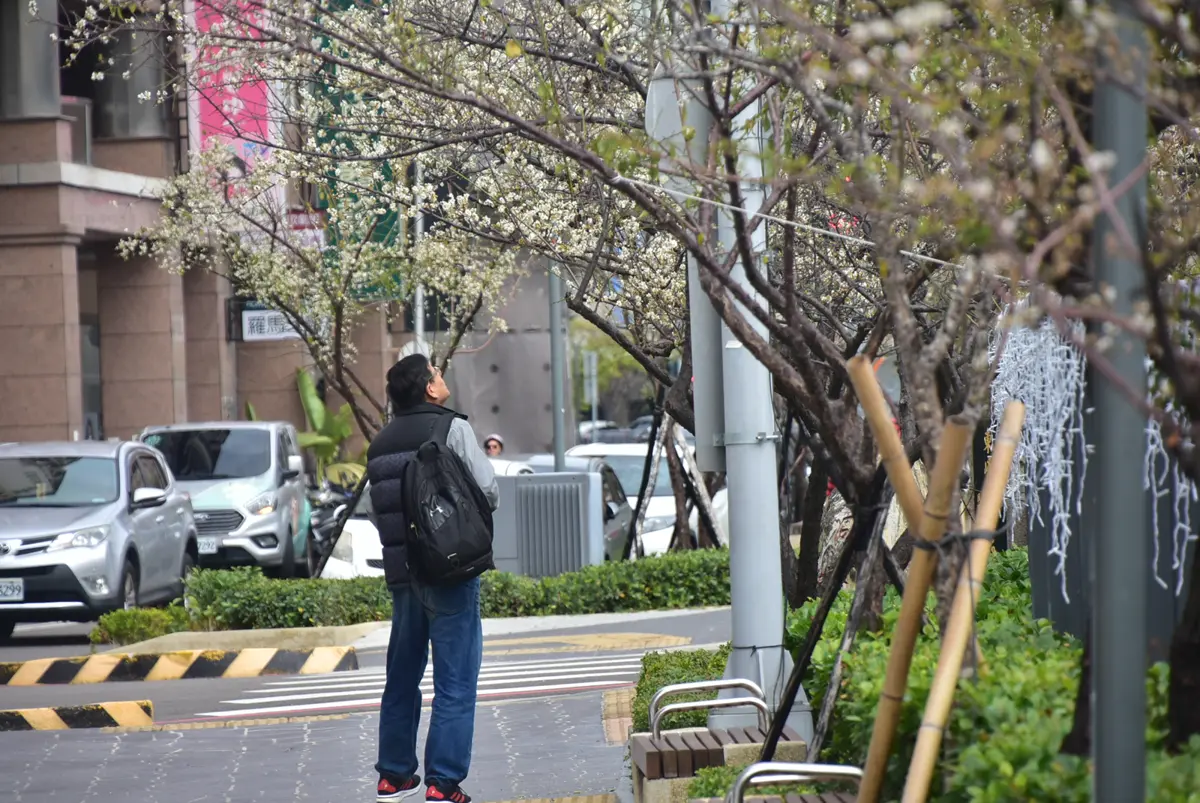 圖片來源:臺中市政府