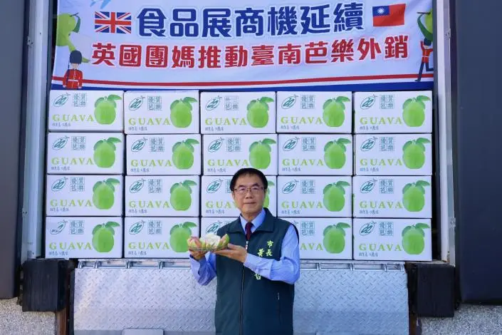 台南芭樂直送英國!每顆295元天價照樣秒殺,旅英台商「團媽」成外銷新主力