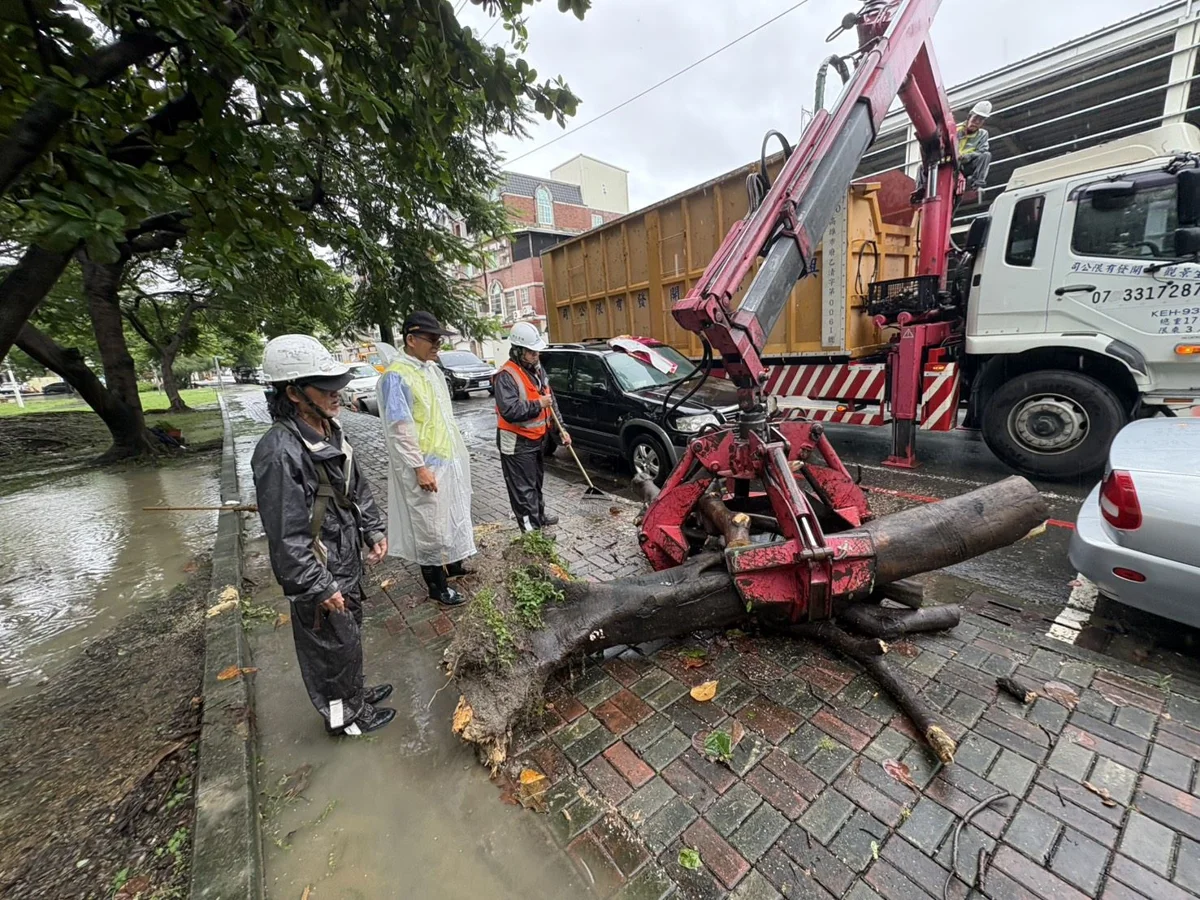 圖片來源:高雄市政府