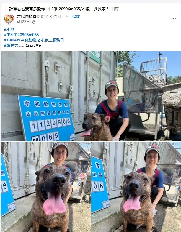 圖片來源:新北市政府