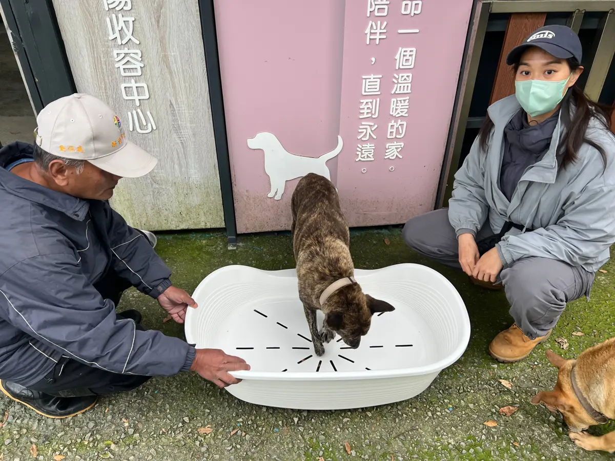 圖片來源:新北市政府