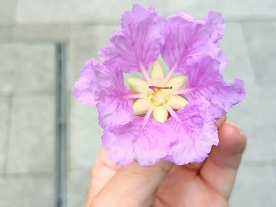 圖片來源:臺北市政府