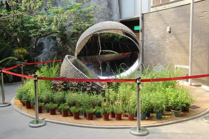端午必看!臺北典藏植物園「綠色結界」大公開,4大天然驅蚊神草一次認識