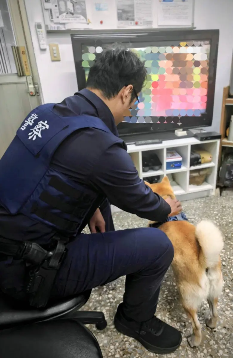圖片來源:臺北市政府