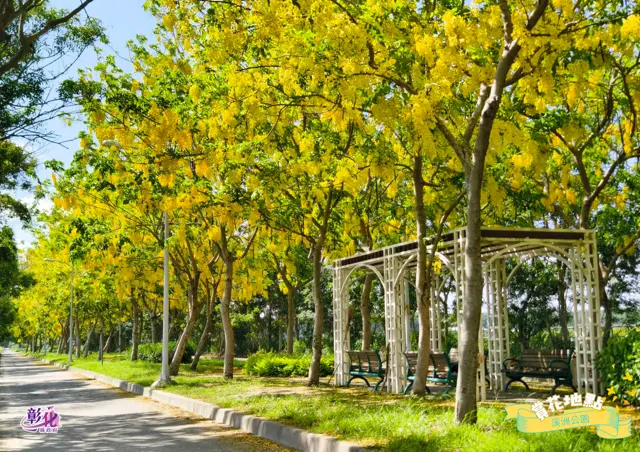 圖片來源：彰化觀光旅遊網-活動