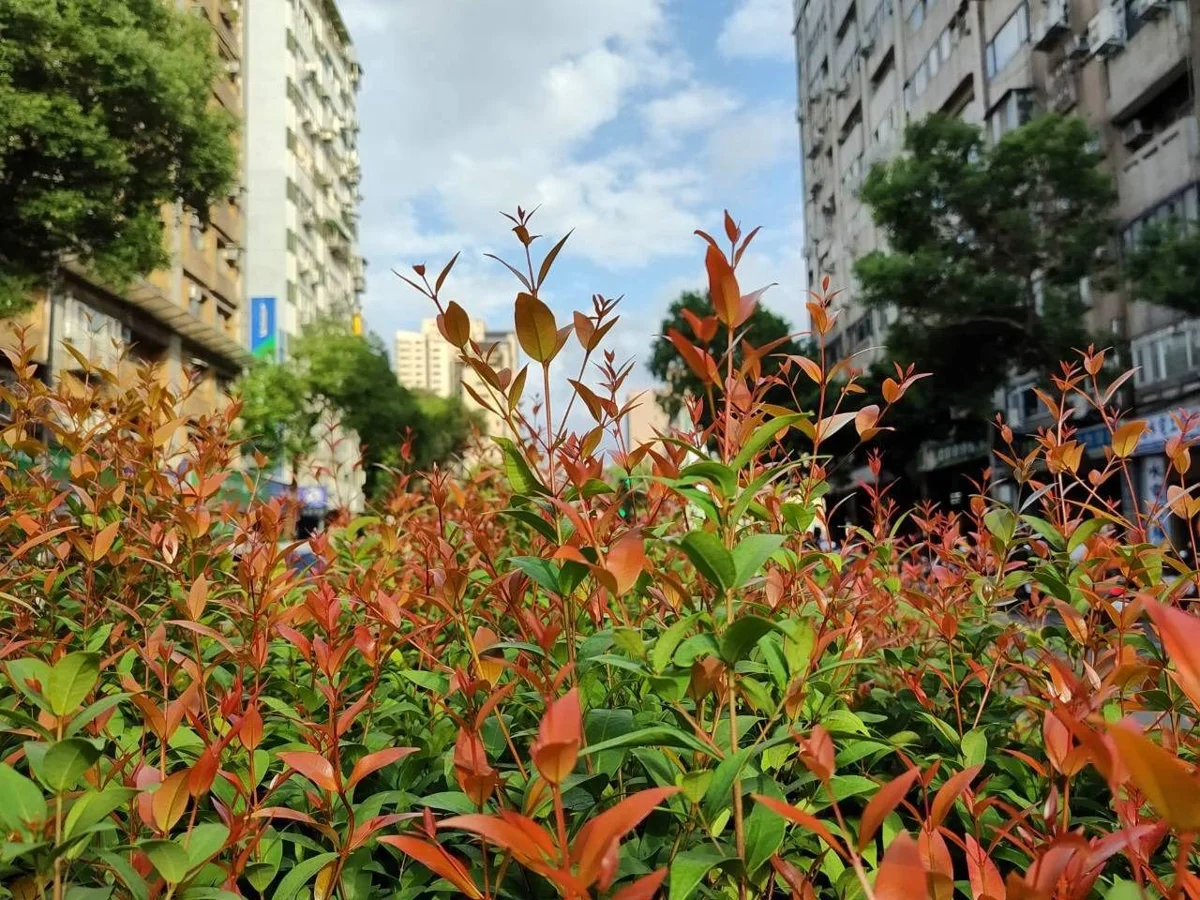 圖片來源:臺北市政府
