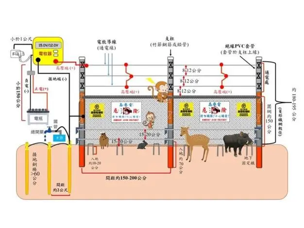 農友必看!北市推50萬猴害防治補助 申請期限至9月30日