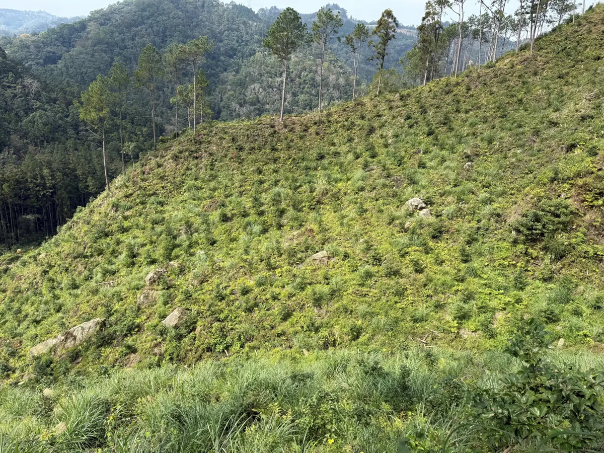圖片來源:新竹縣政府