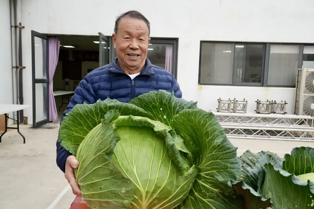 圖片來源:澎湖縣政府