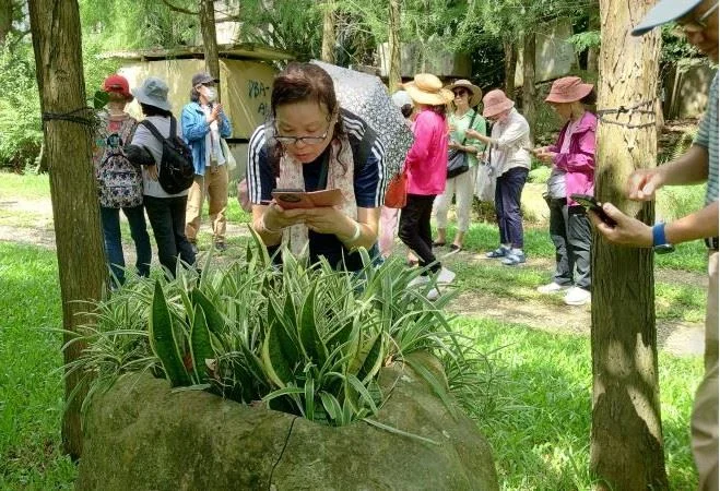 圖片來源：苗栗縣政府