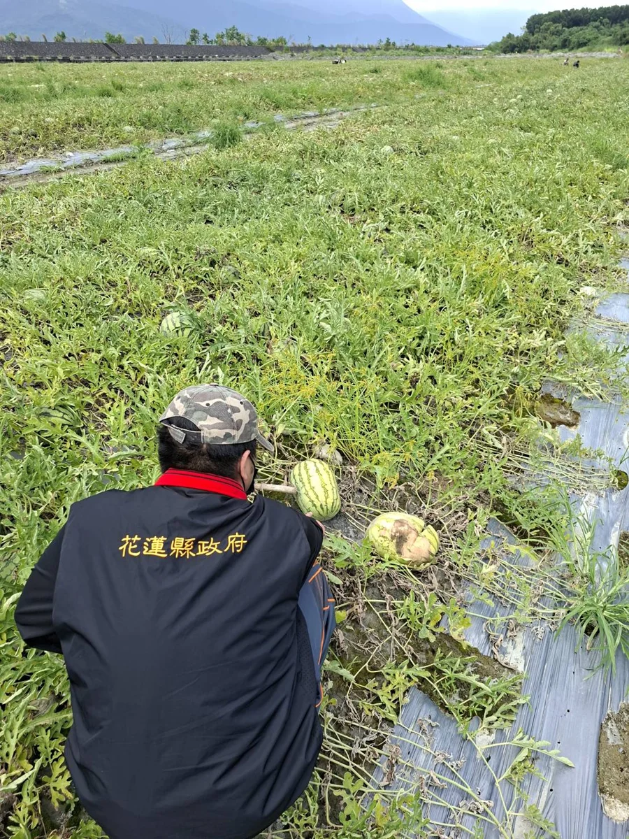 圖片來源：花蓮縣政府