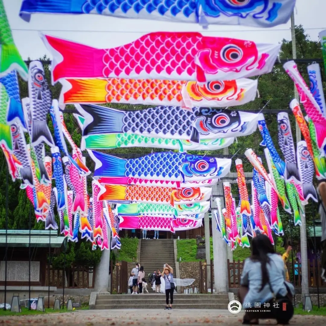 巨型鯉魚旗揚帆!「鯉魚流光祭」美到讓你秒飛日本