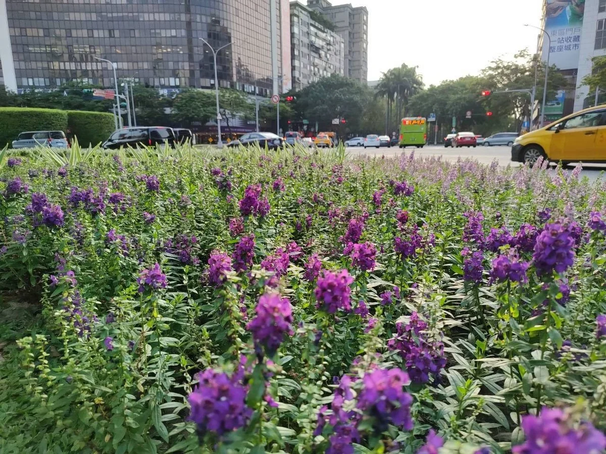 圖片來源:臺北市政府