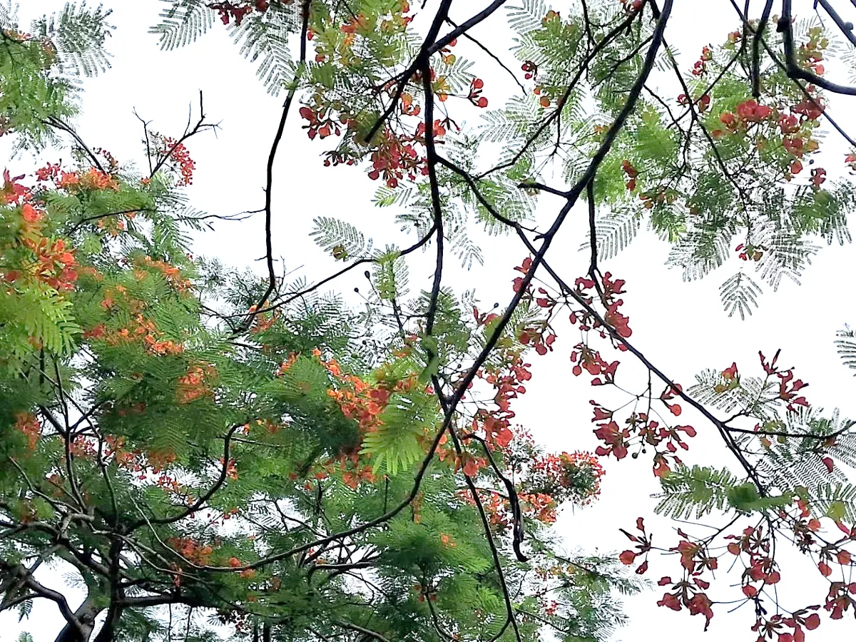 圖片來源:臺北市政府