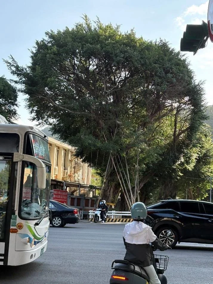 圖片來源:臺北市政府