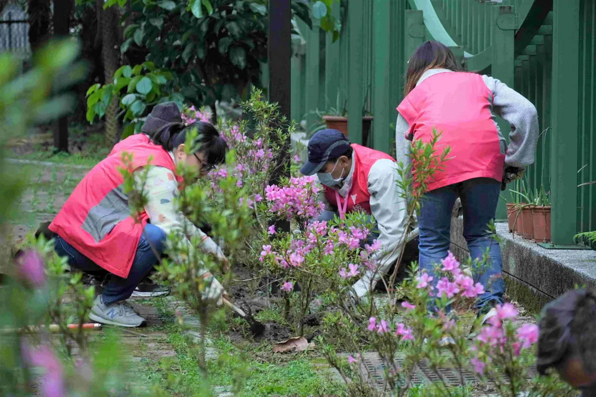 圖片來源:新北市政府