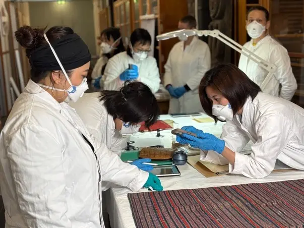 圖片來源:新北市政府