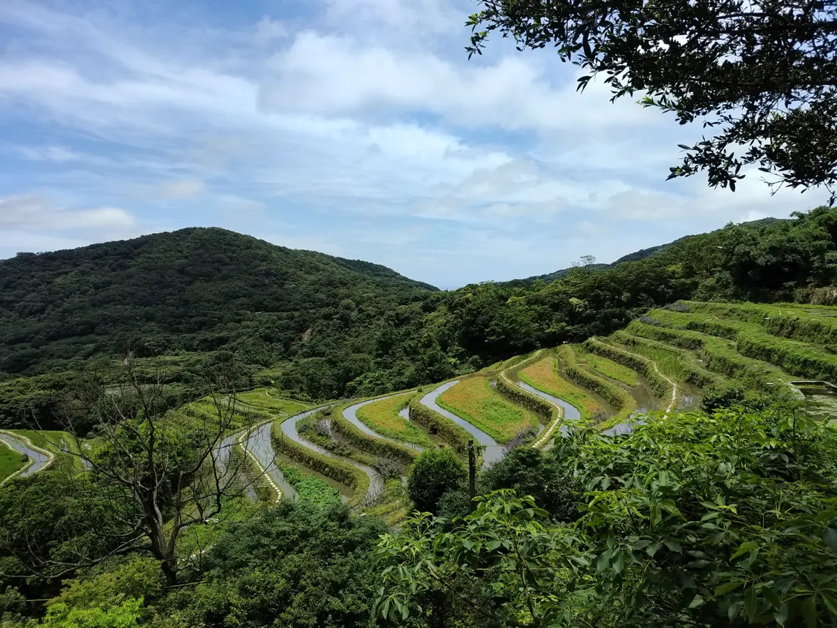 圖片來源:新北市政府