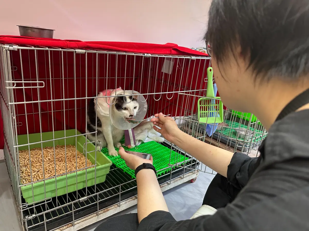 圖片來源:新北市政府