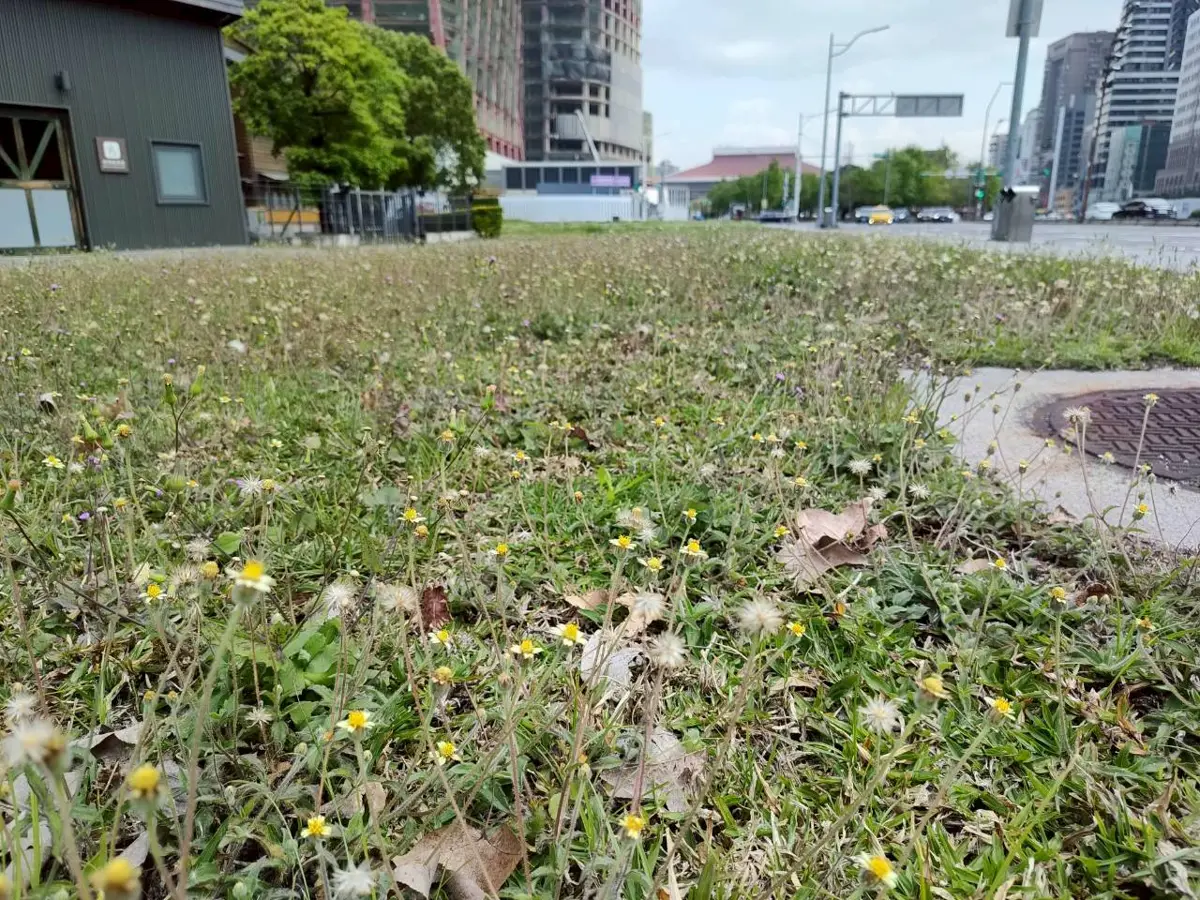 圖片來源:臺北市政府