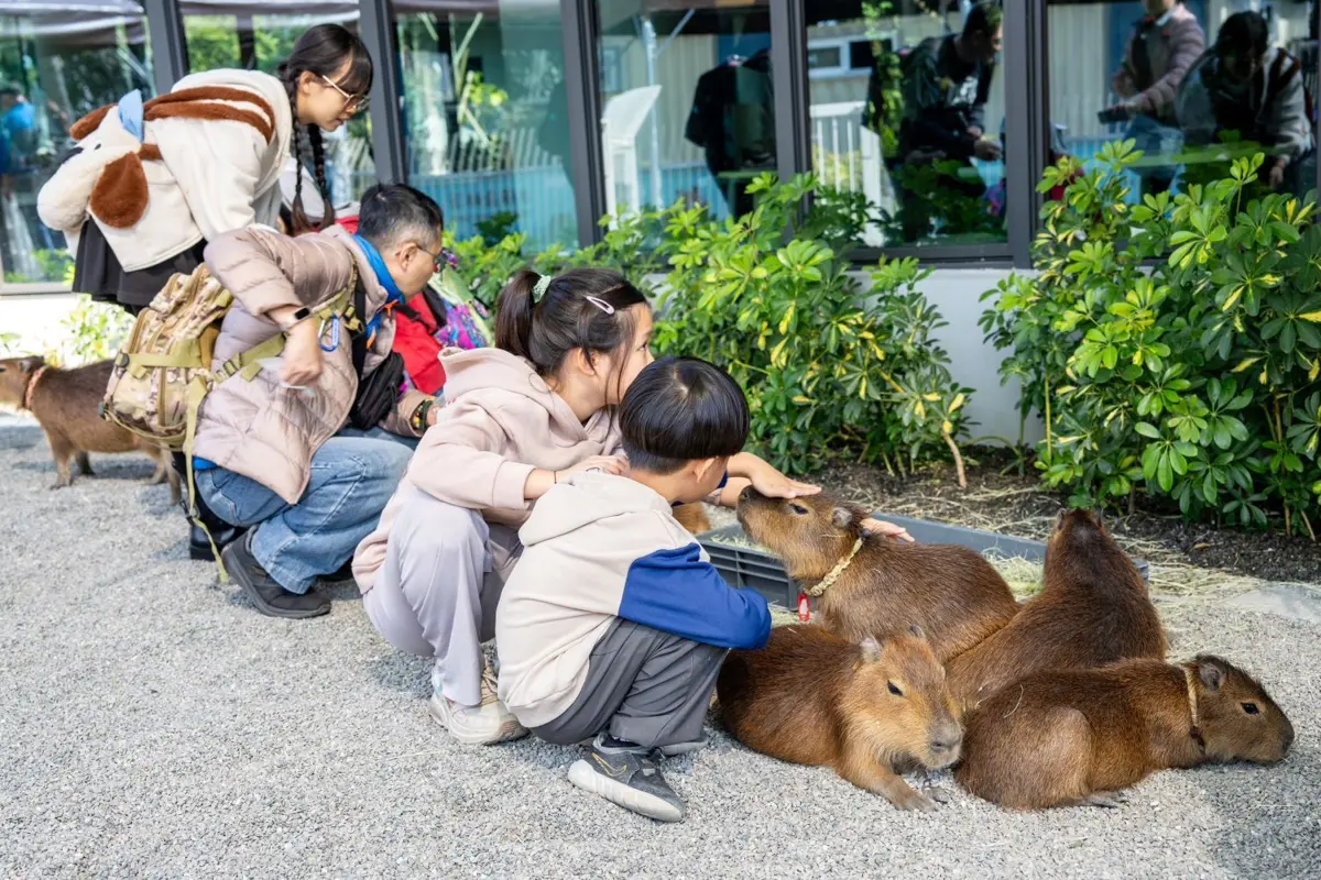圖片來源:高雄市政府