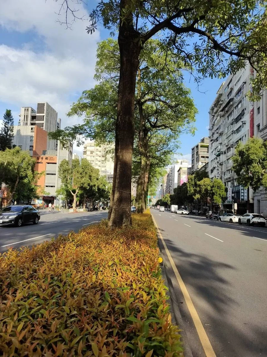 圖片來源:臺北市政府