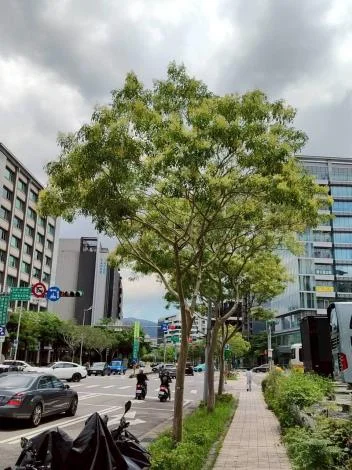 圖片來源:臺北市政府