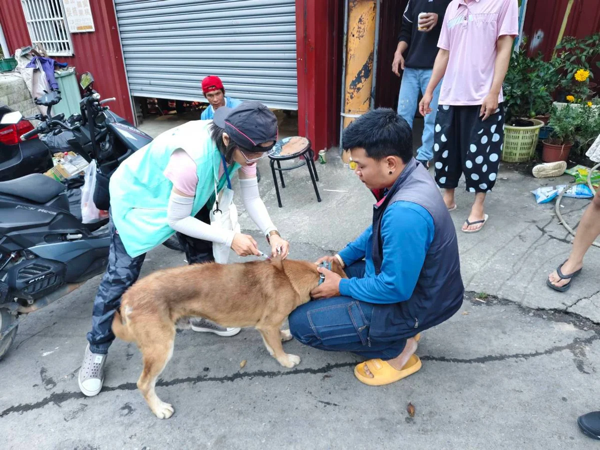 圖片來源:臺中市政府