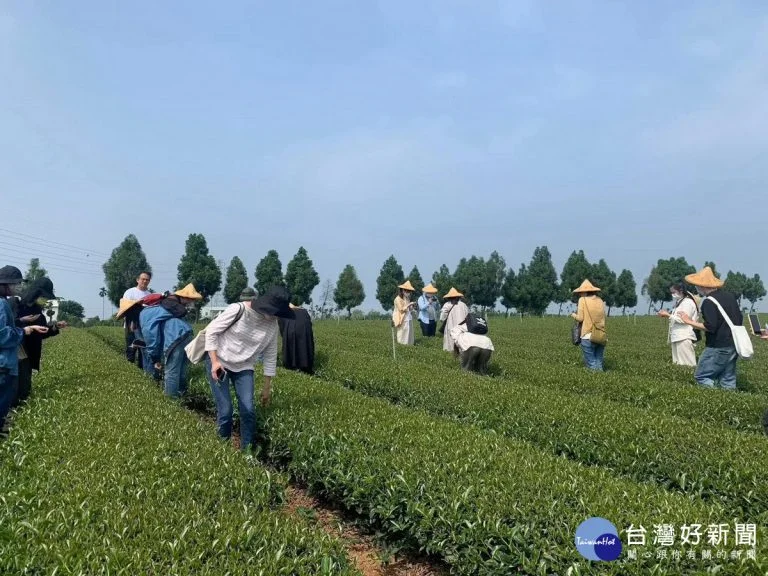 圖片來源：南投旅遊網-活動