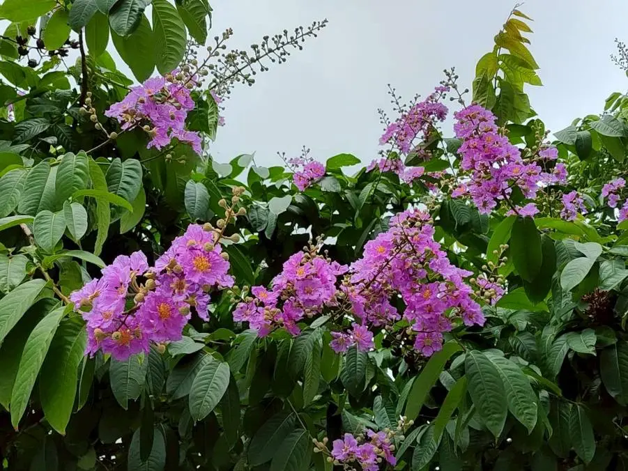 圖片來源:臺北市政府