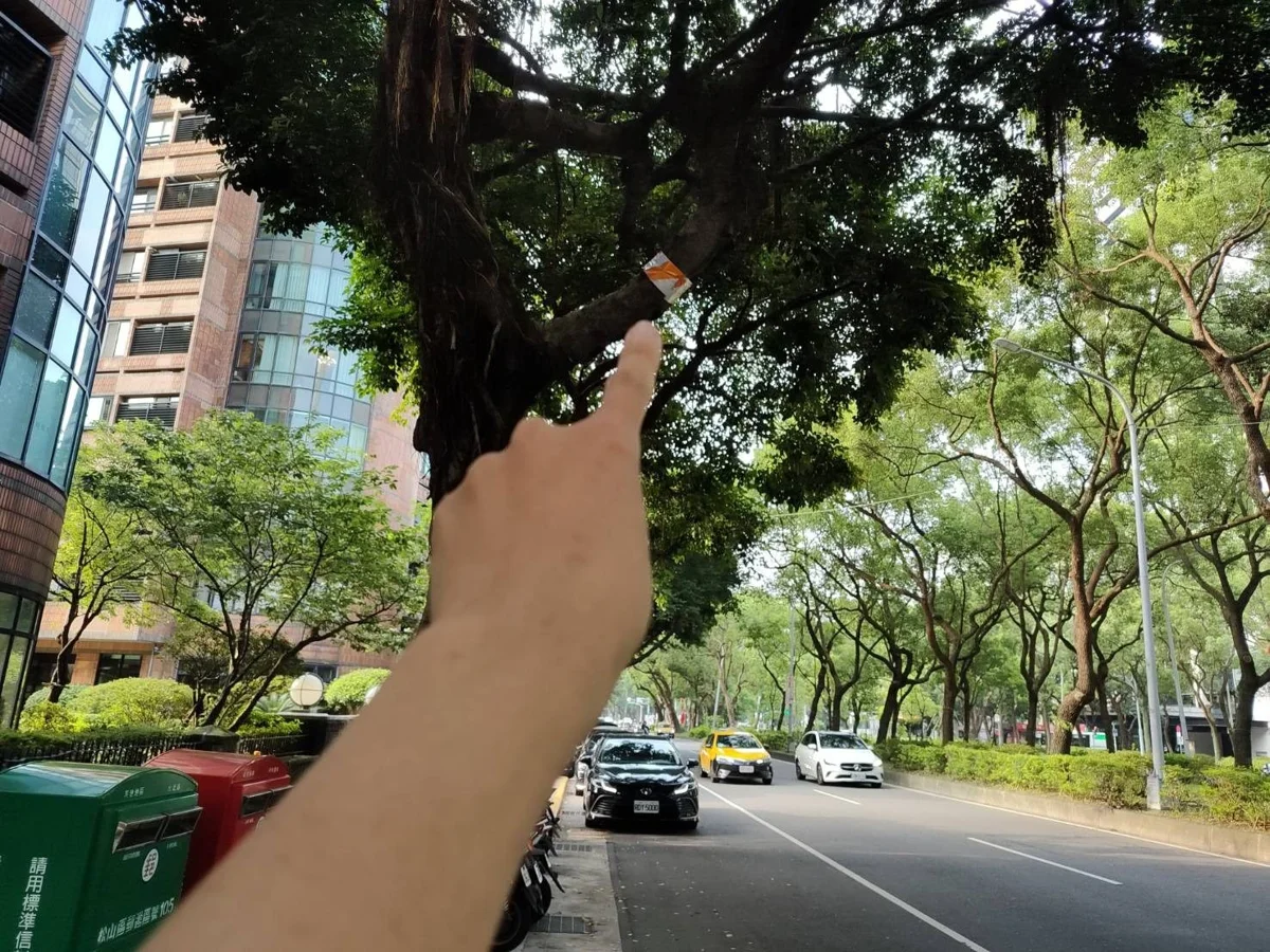 圖片來源:臺北市政府