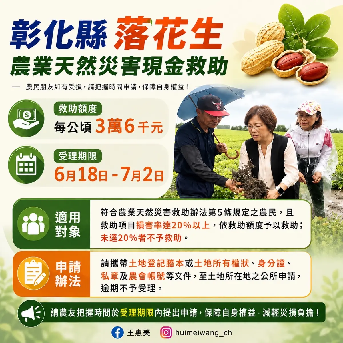 【0608豪雨災補】彰化落花生農注意!每公頃補助3.6萬,申請期限、條件懶人包