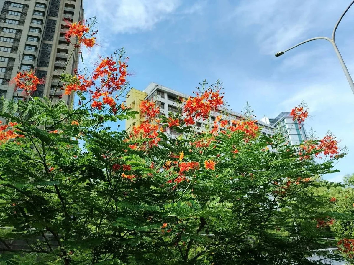 圖片來源：臺北市政府