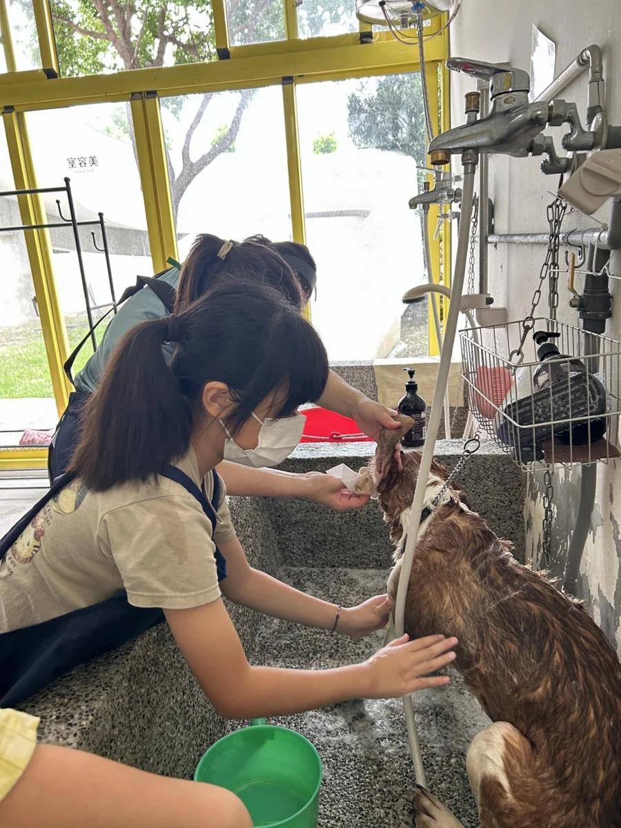 圖片來源:臺中市政府