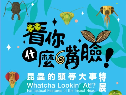 圖片來源:台北旅遊網-活動