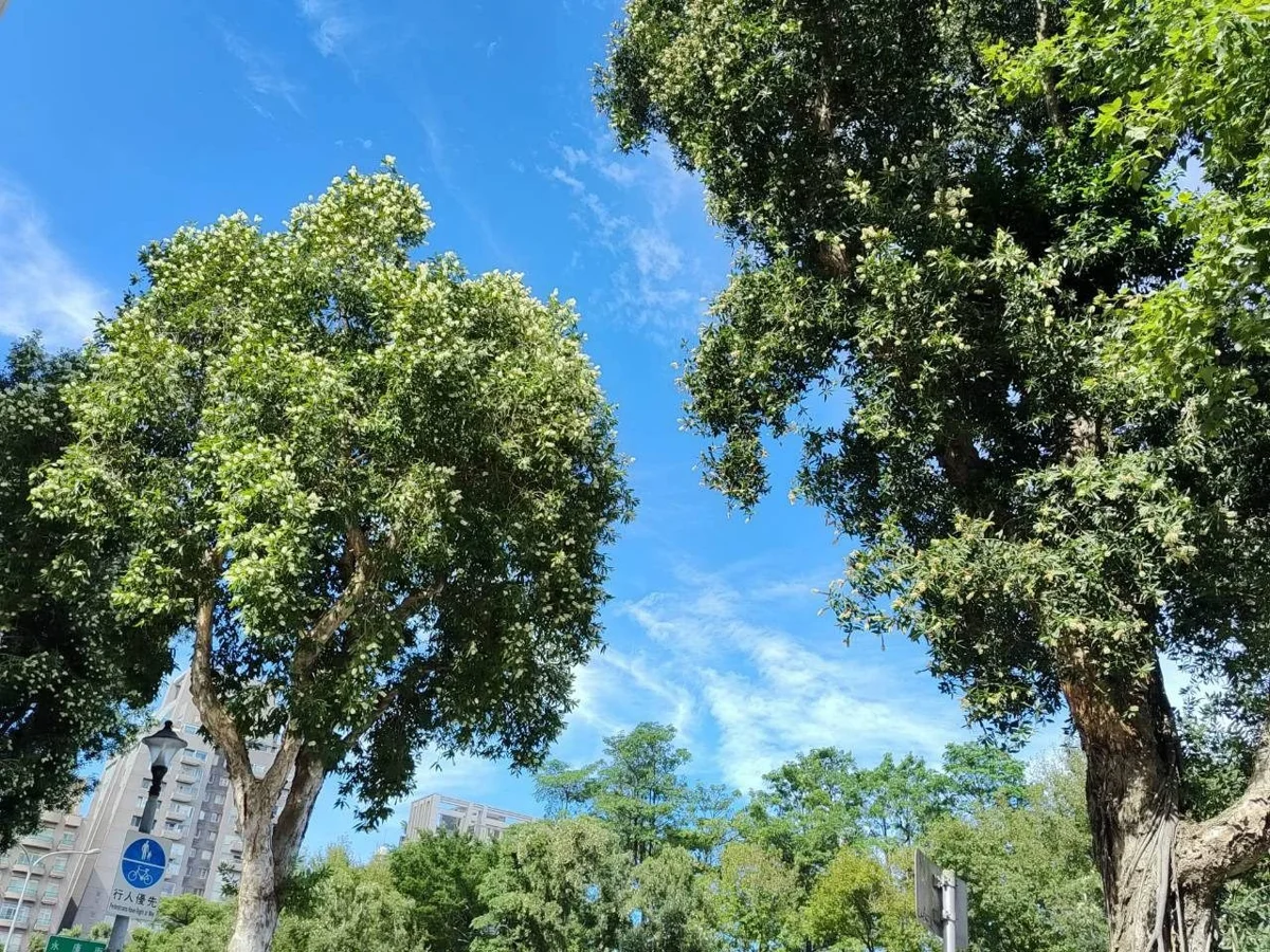 圖片來源:臺北市政府