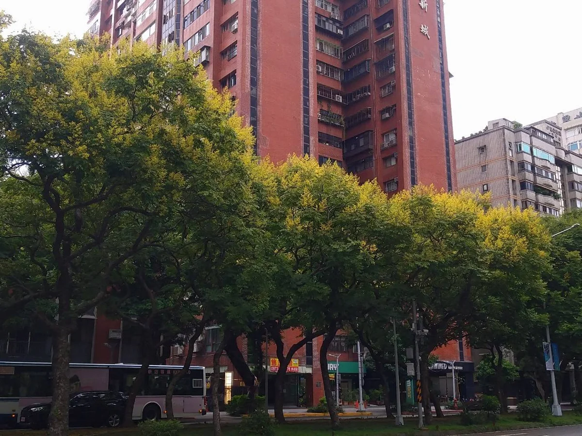 圖片來源:臺北市政府
