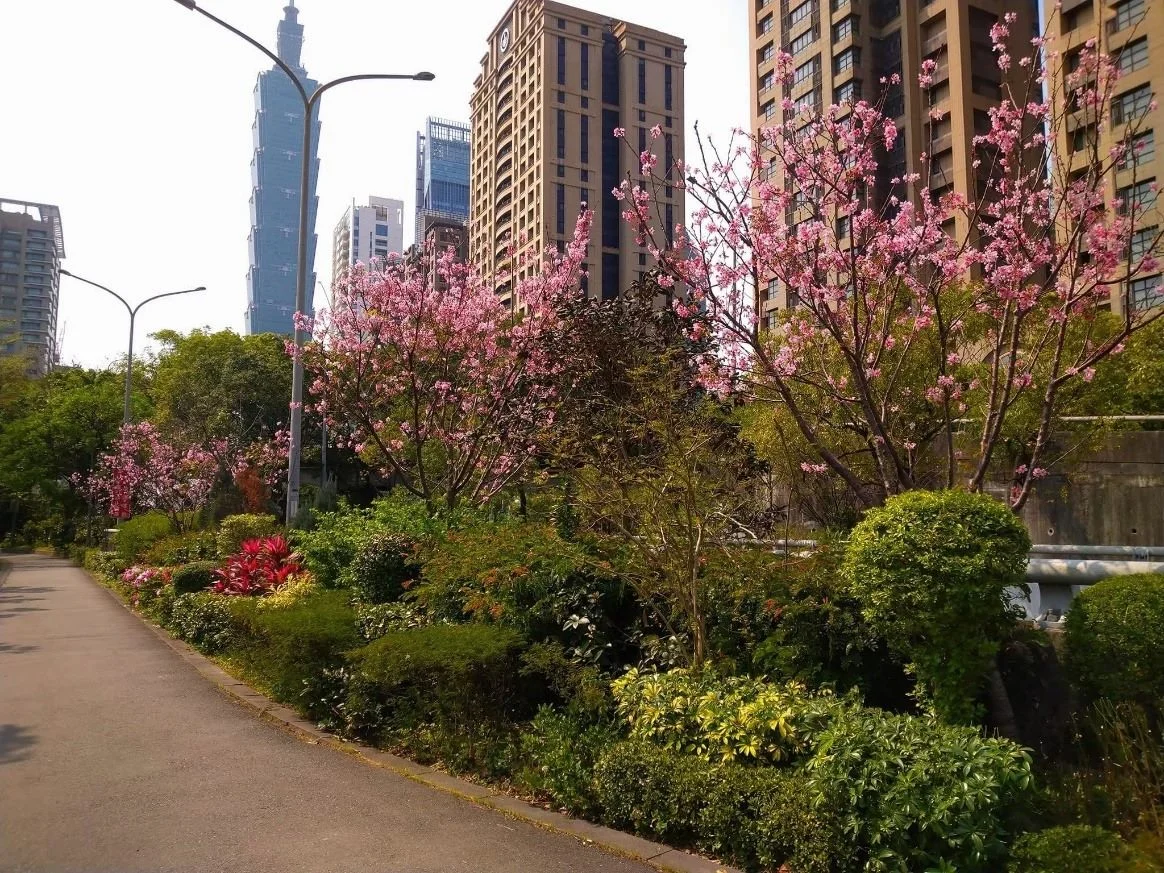 圖片來源：臺北市政府