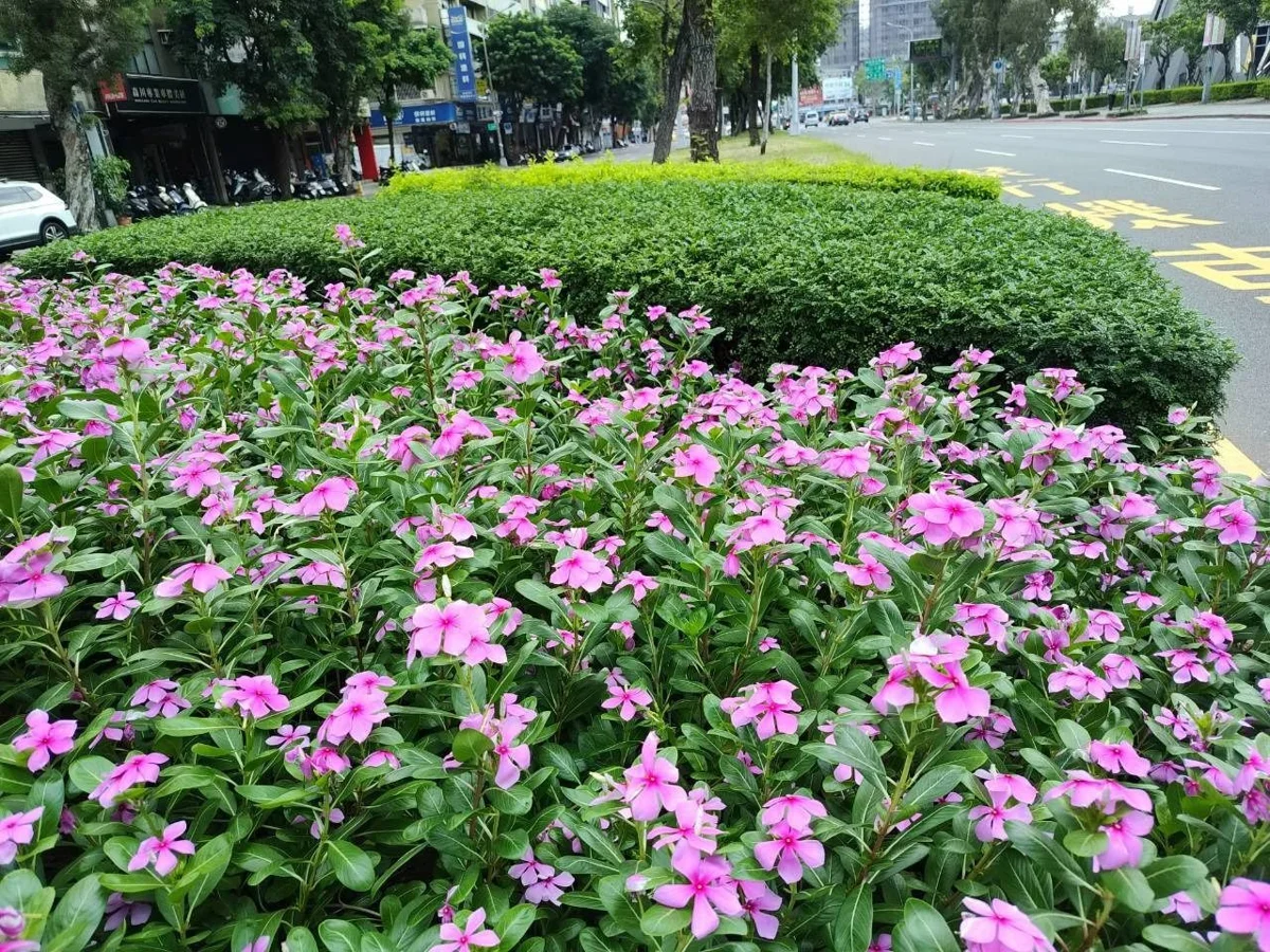 圖片來源:臺北市政府