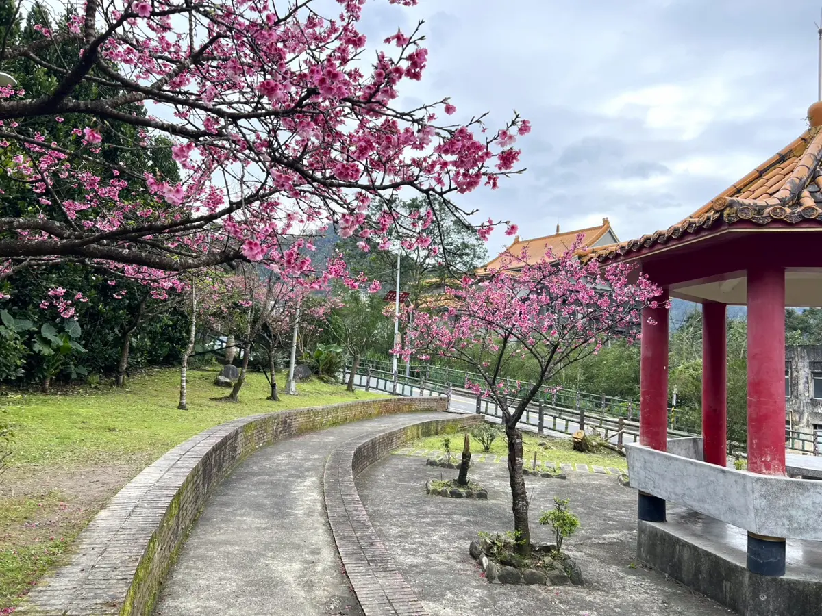 圖片來源:新北市政府