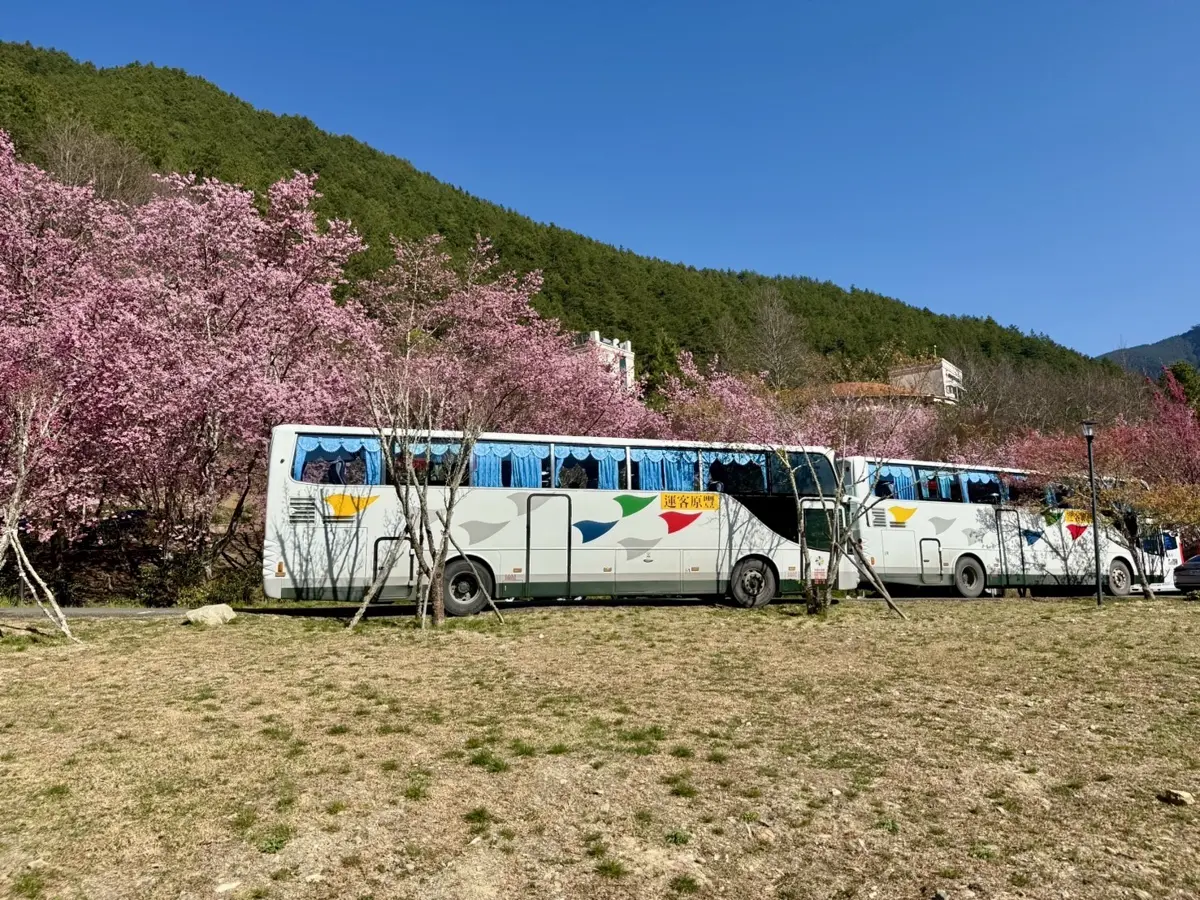 圖片來源:臺中市政府
