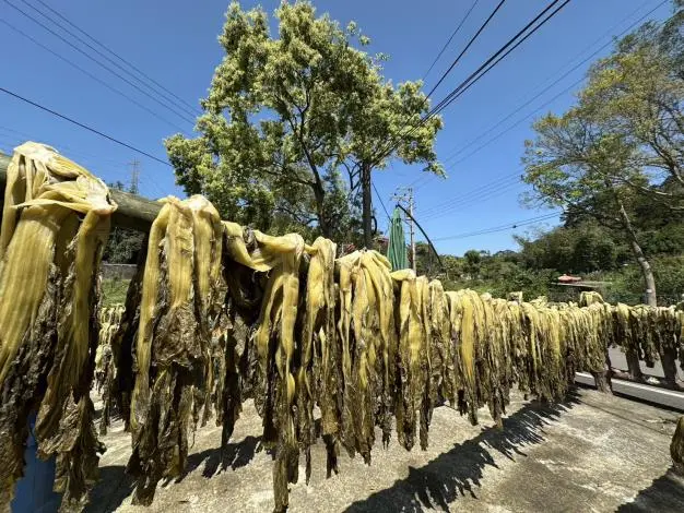 圖片來源:新竹縣政府