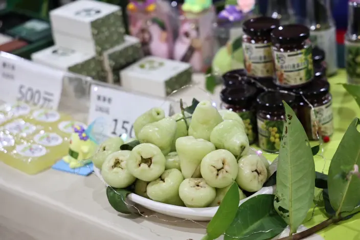 圖片來源:臺南市政府