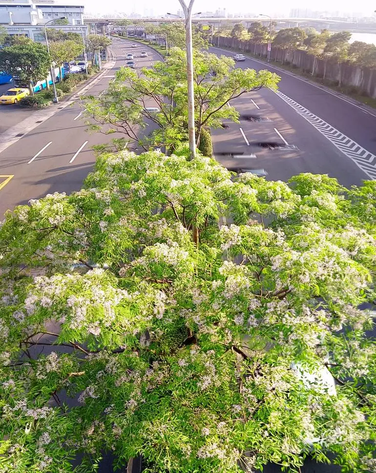 圖片來源:臺北市政府