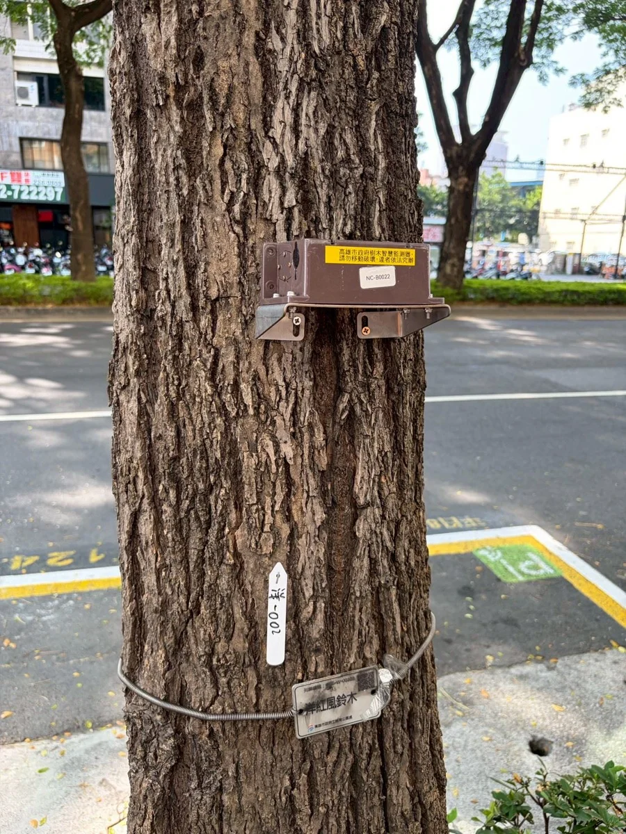 圖片來源:高雄市政府
