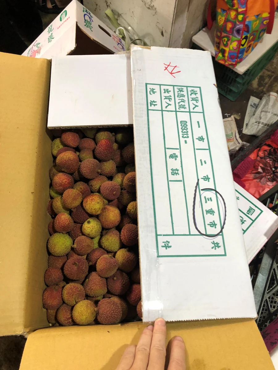圖片來源:臺北市政府